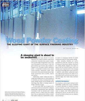 Read more about the article Sleeping Giant of the Surface Finishing Industry